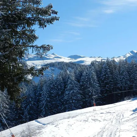 Duplex Spacieux A 1850 - 8 Pers, Pieds Des Pistes, Cheminee, Garage, Wifi Inclus - Fr-1-631-56 Апартаменты